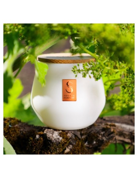 Scented candle La Spiritueuse - La Vigne