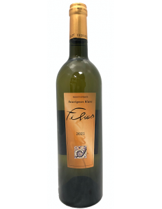 Filius 2024 - IGP Charentais