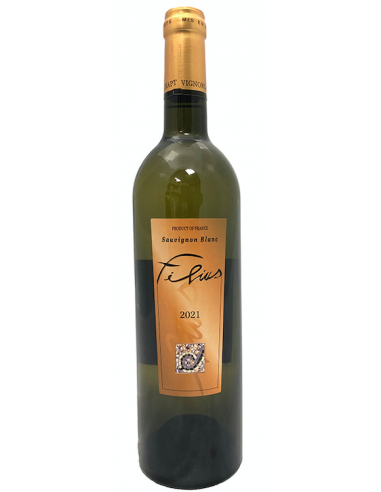 Filius 2024 - IGP Charentais