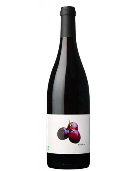 Château Princé - Grolleau 2021 (bio)