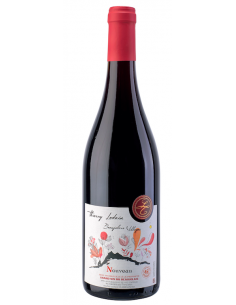 Thierry Ledain Beaujolais Nouveau 2025