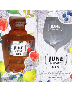 Coffret June Liqueur de Gin...