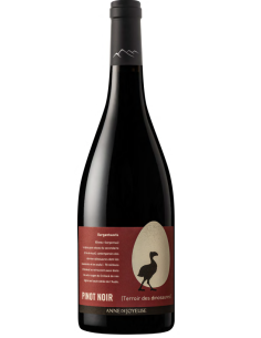 "Gargantuavis" Pinot Noir 2023 - Pays d'Oc