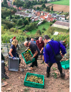 Charbonnay 2022 - Vin de Terril