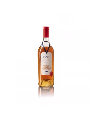 Millésime 1995 - Cognac Bons Bois Deau