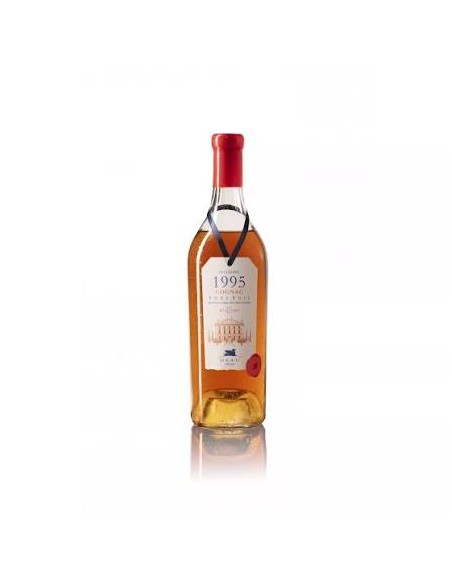 Millésime 1995 - Cognac Bons Bois Deau